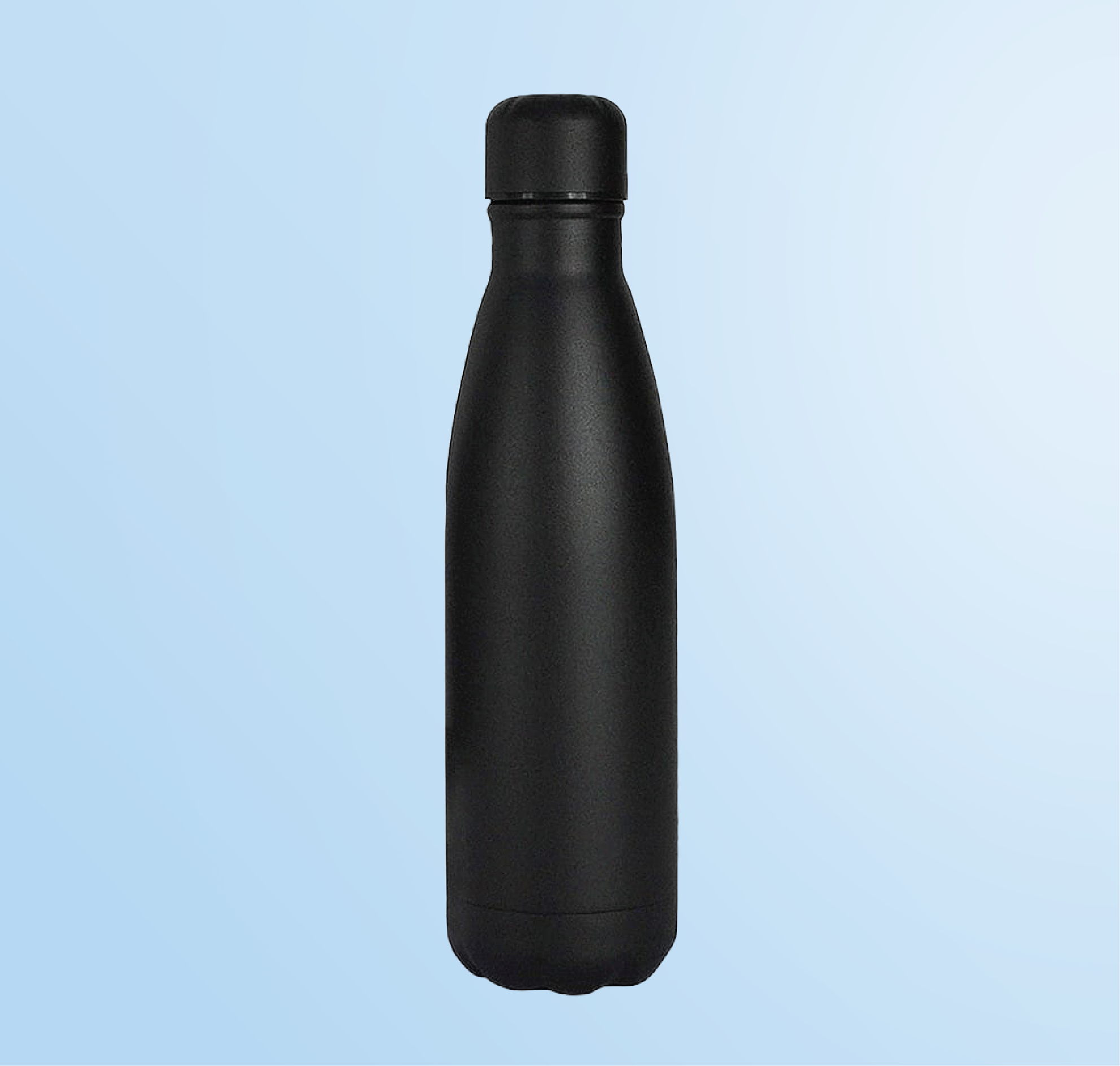 Matte Thermal Bottle